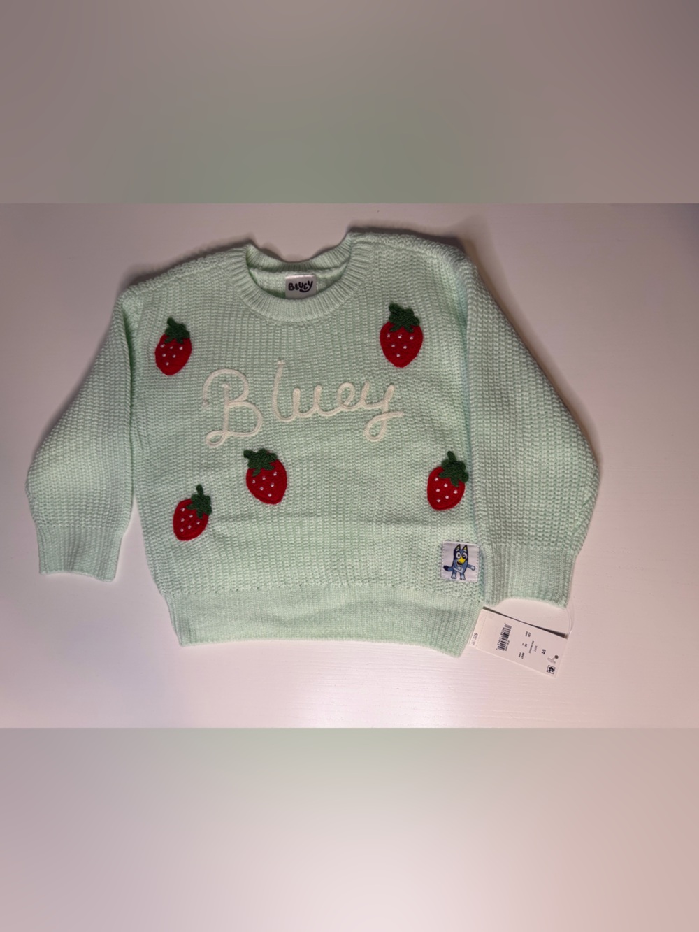 NWT- Bluey Mint Green Kids Sweater with Strawberry Appliqués